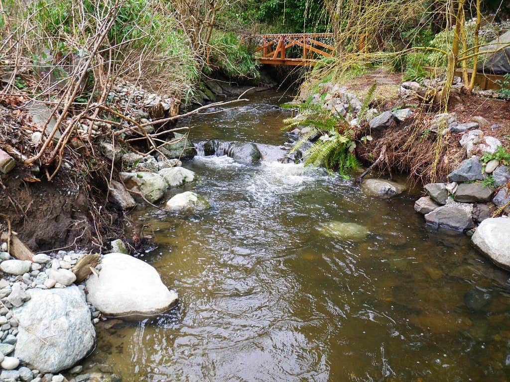 Dam Removal and Fish Passage Natural Systems Design