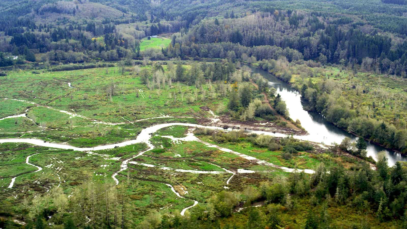 Kandoll Farm Wetlands Restoration, Columbia Land Trust, Grays River Estuary, WA Natural