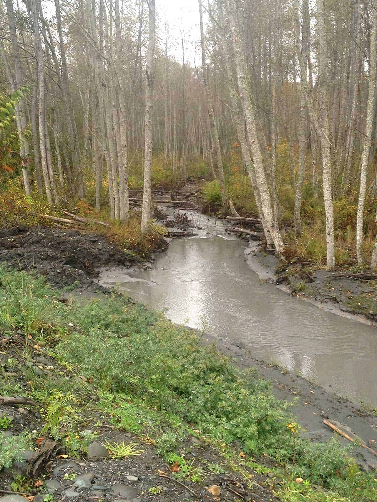 Lower Elwha River Restoration, Lower Elwha Klallam Tribe, WA Natural