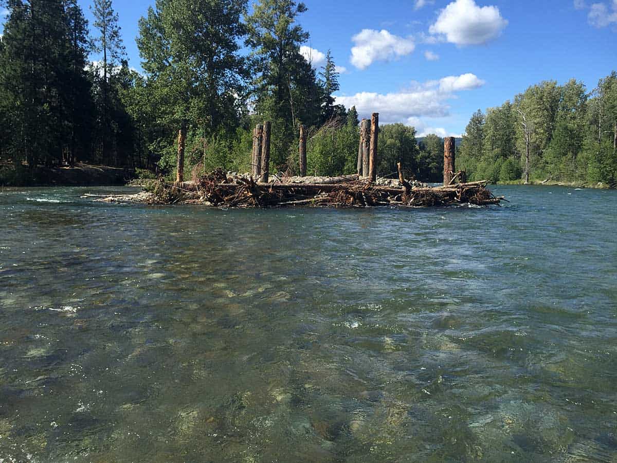 Yakima River Edge Habitat, Yakama Nation, Cle Elum, WA Natural
