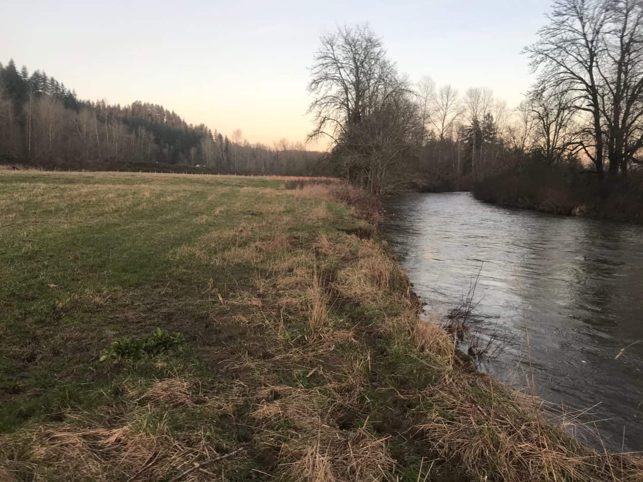 South Prairie Creek Floodplain Restoration - Natural Systems Design