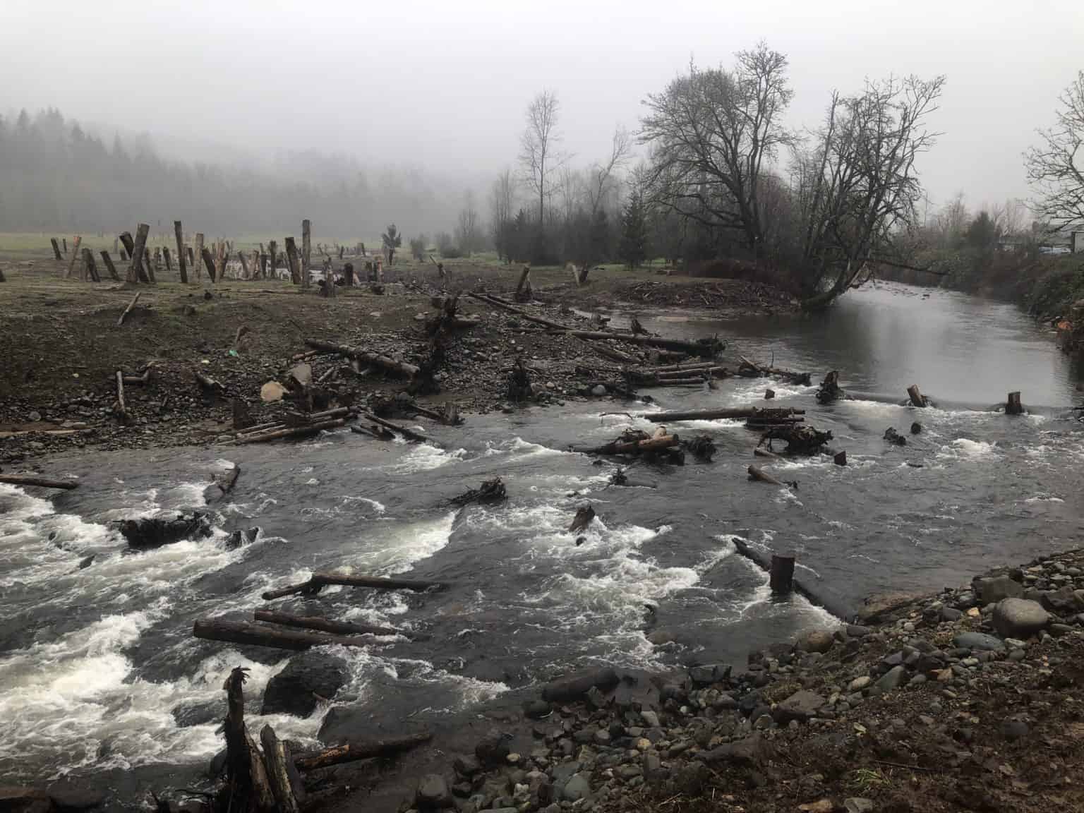 South Prairie Creek Natural Systems Design and Coastal Geologic Services