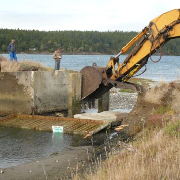 coastal-restoration-services